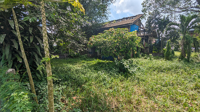 Résidence de bois / Wooden house