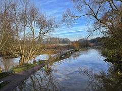 HFF Aylestone Meadows Leicester 28th November 2024