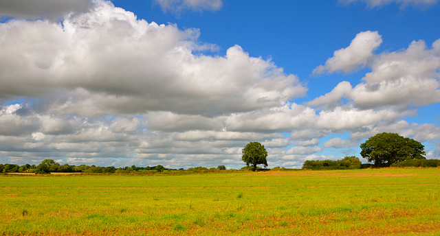 Gnosall sky line