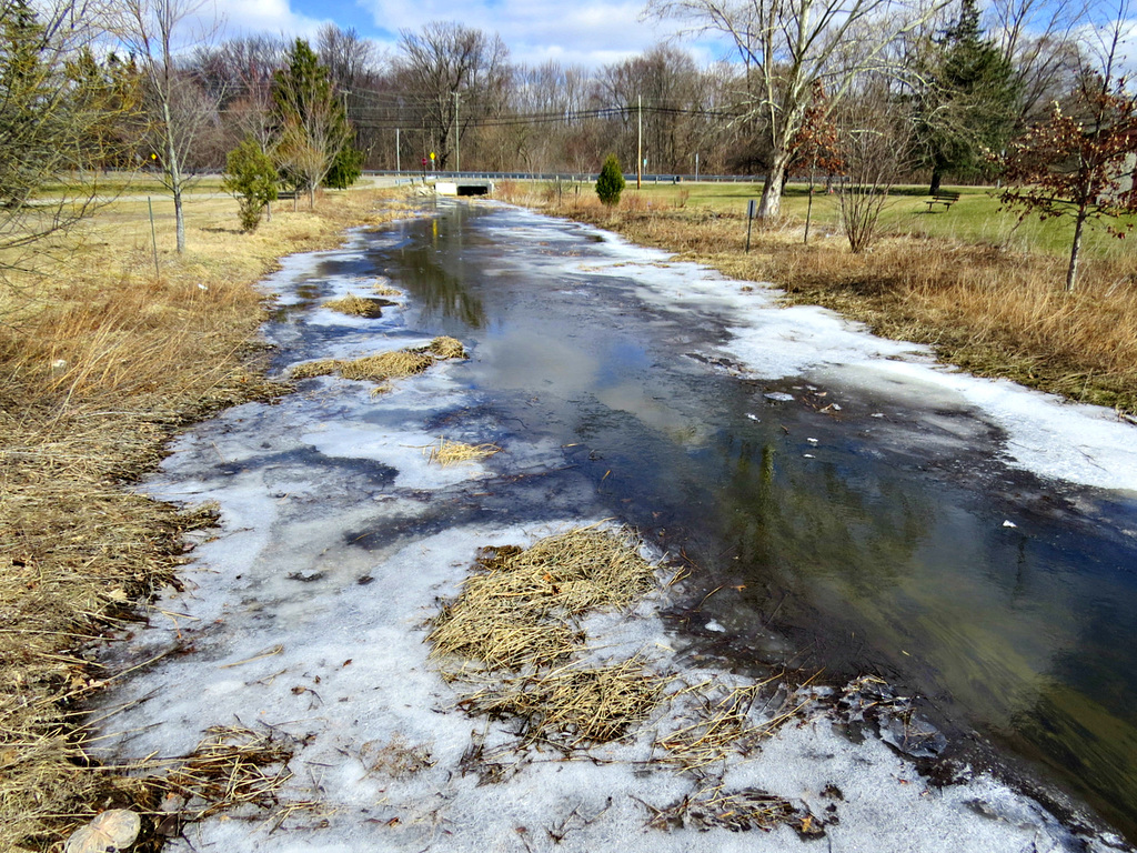 New ice on Bell River