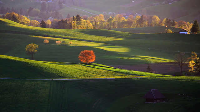 Emmentaler Hügel in der Abendsonne (© Pipo63)