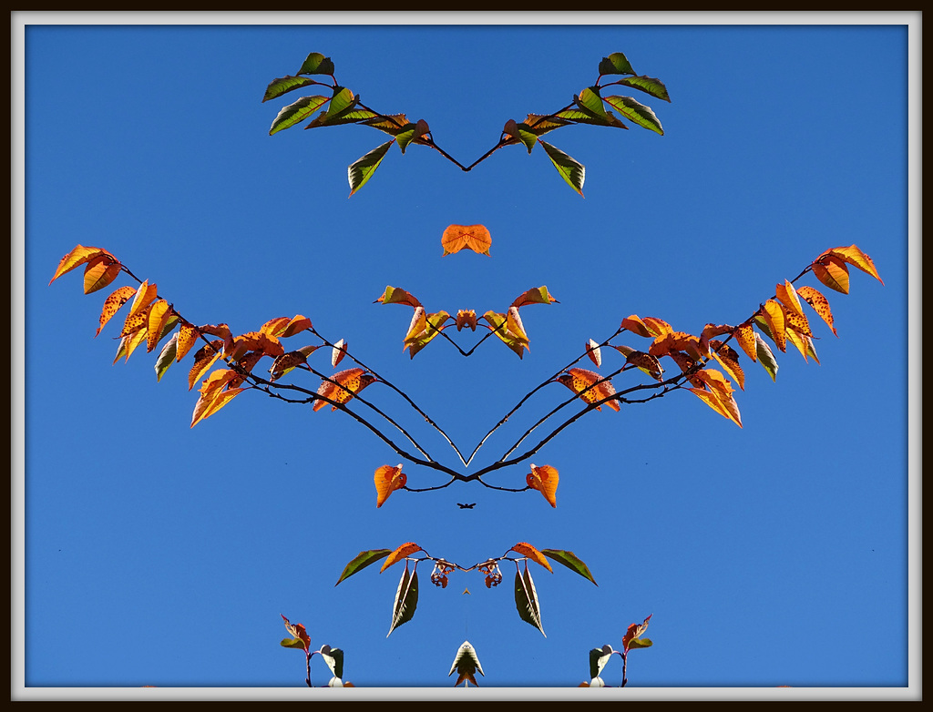 Deconstructed Autumn