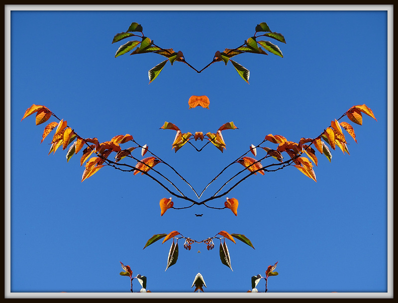 Deconstructed Autumn