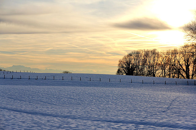 Winterspaziergang am 16.01.2019