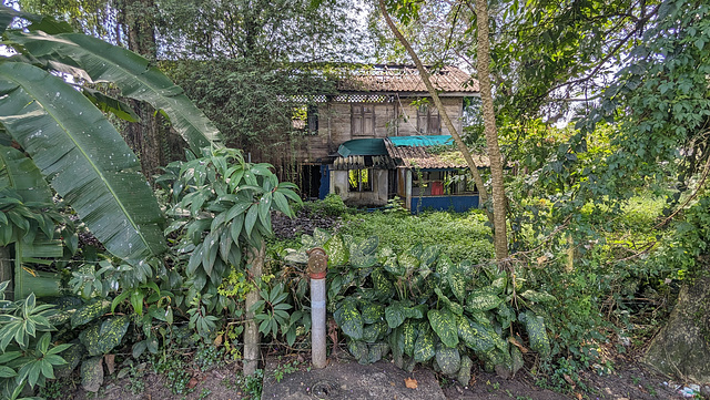 Wooden house / Maison en bois