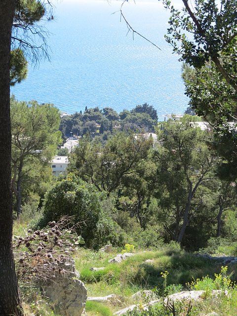 Colline de Marjan : les pentes.