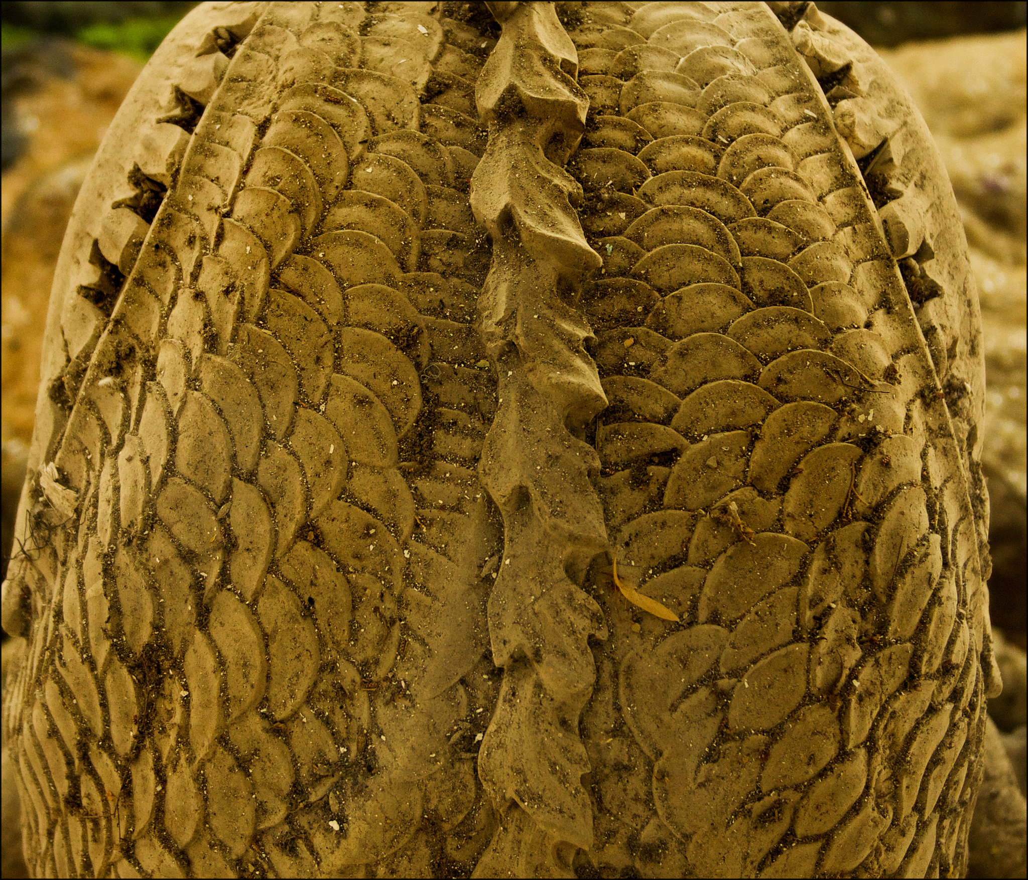 Mãe de Água, golfinho, detalhe