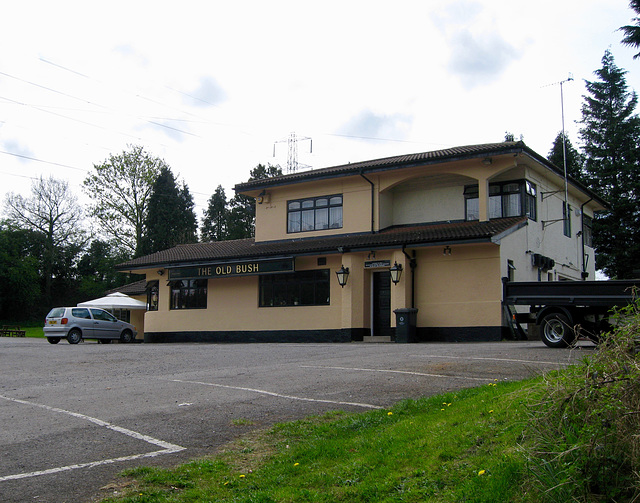 The Old Bush at Hinksford