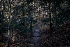 auf dem Weg zur Ruine Neuburg (© Buelipix)