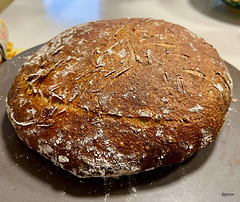 Multi-seeded Sourdough