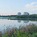 cattails and universities