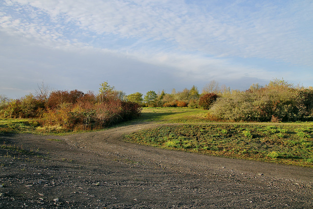 Halde Radbod, Hamm-Bockum-Hövel / 13.10.2019