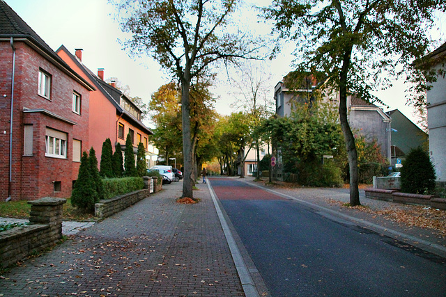 Alsenstraße (Lünen-Süd) / 27.10.2019