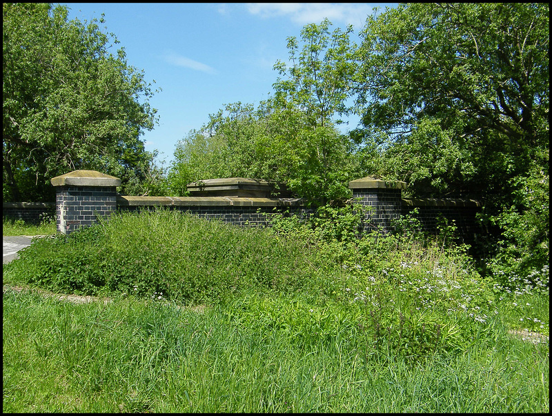 spring green at Grandpont