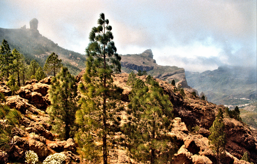 Gran Canaria - 20 years ago