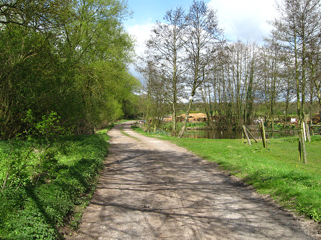 Pool at Hinksford Farm