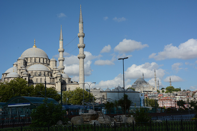 Istanbul, Yeni Cami (The New Mosque) and Suleymaniye Mosque