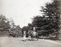 Gardens, Baginton Hall, Warwickshire c1890 (Burnt 1899 demolished c1926)