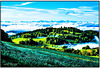 Schwarzwald Morgennebel