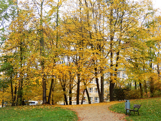 Beutlerpark in Dresden (13)