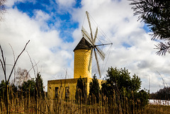 2015-02.02. - Giffhorn- Mühlenmuseum, Portugisische  Mühle