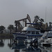 Long Beach "Oil & Water" (#0925)