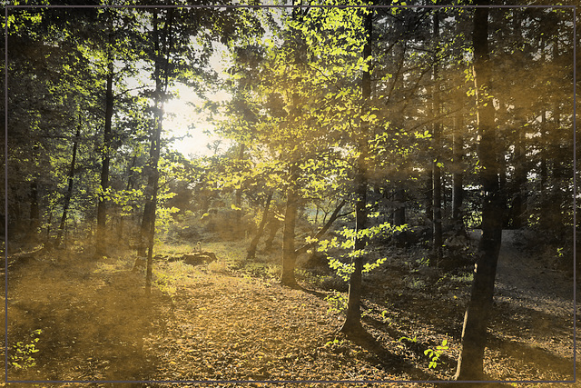 am Rande des Kurparks