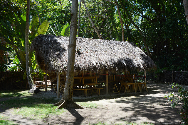 Dominican Republic, Catering Point in the Shade on the Island of Bacardi