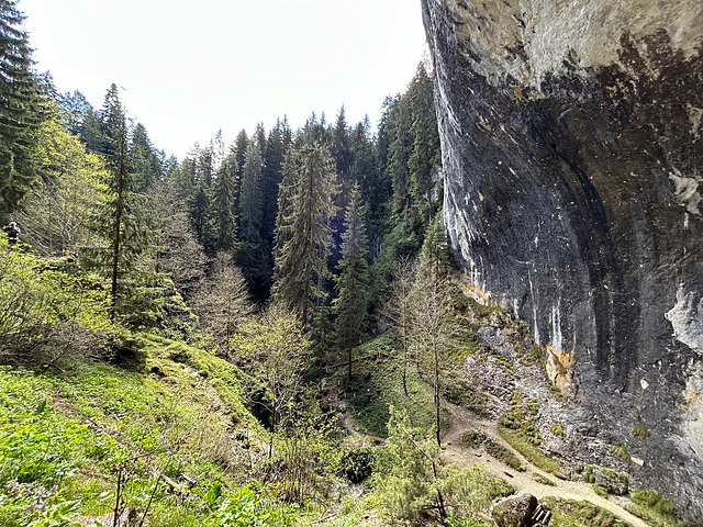 Bulgarian Rhodope mountains.