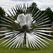 Singularity (Bismarckia) by Marc Quinn