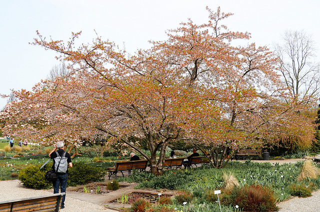 Frühling im Berggarten - HBM ! Frühling im Berggarten - HBM !