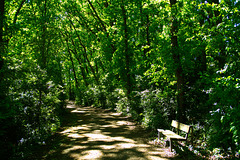 Spring bench - HBM! Spring bench - HBM!