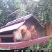 oaw[rsq] - Visit A : 24June2026 {70 of 81+5}