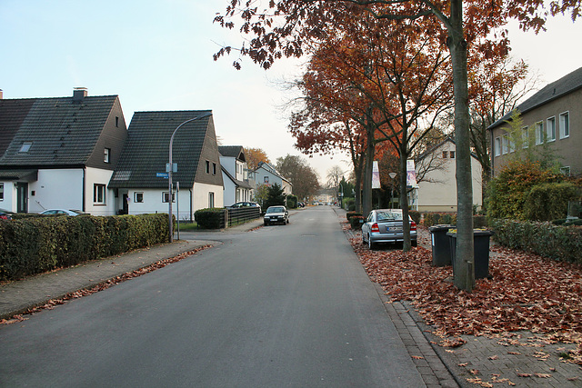 Buderusstraße (Unna-Massen) / 12.11.2016