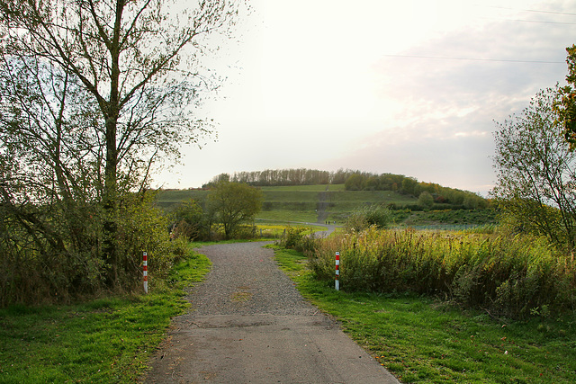 Weg zur Halde Radbod (Hamm-Bockum-Hövel) / 13.10.2019