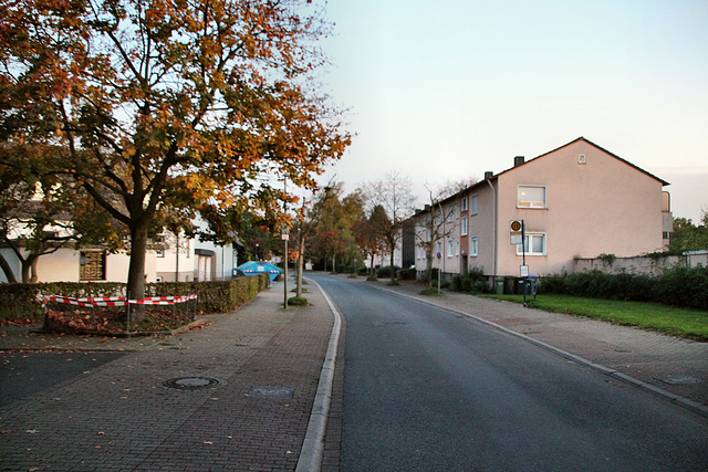 Alsenstraße (Lünen-Süd) / 27.10.2019
