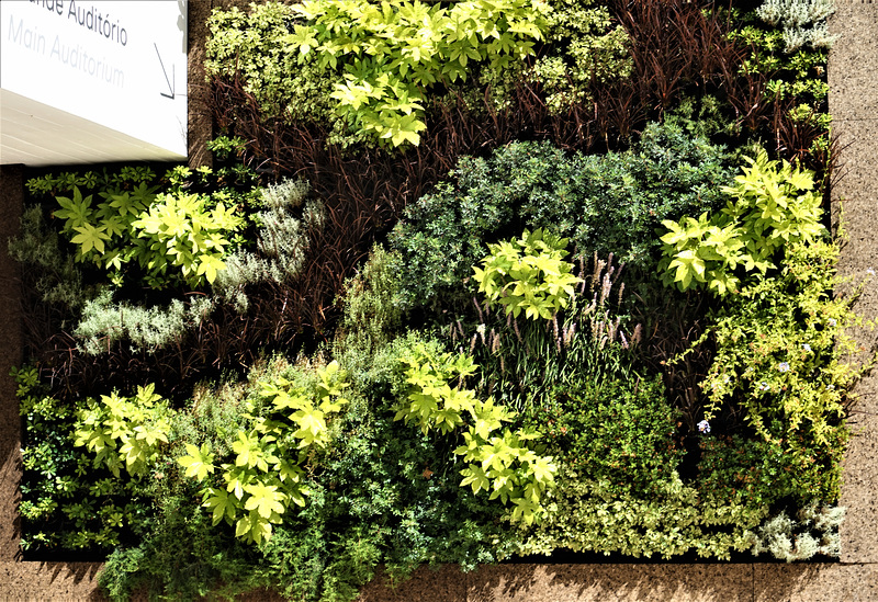 CCB - Jardim Vertical