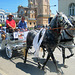 Parade of showy horses (PiP)