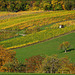 Herbst in Baden, baden im Herbst