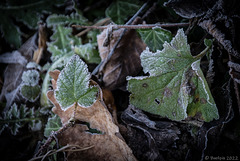 unterwegs an einem kalten Wintermorgen (© Buelipix)