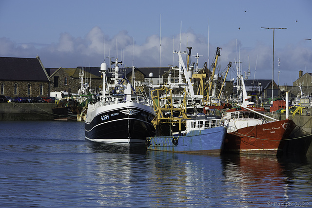 Howth Harbour (© Buelipix)