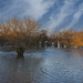 La Loire en crue.