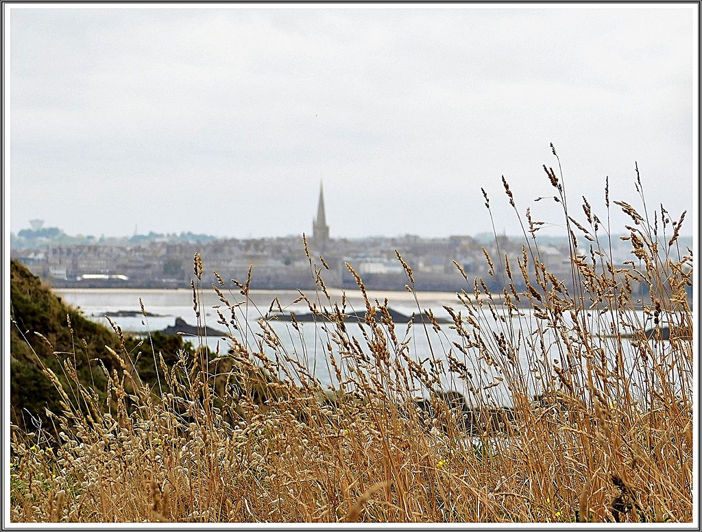 Vue depuis la pointe de la Varde vers Saint Malo (35)