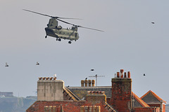EOS R7 Peter Harriman 16 08 54 1375 chinook dpp