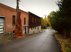 Payne Alley