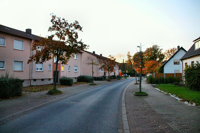 Alsenstraße (Lünen-Süd) / 27.10.2019