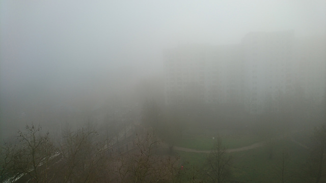 Küchenfensterblick (Farbfoto)