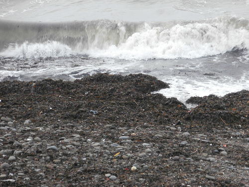 The waves were churning up all sorts of debris