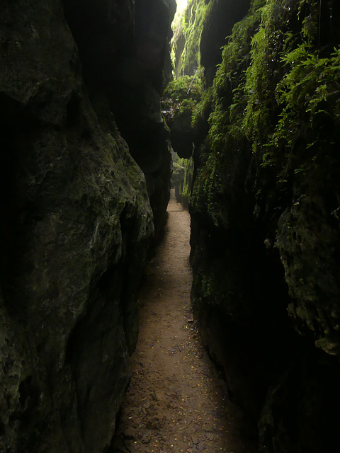 20180720 Rando solo Source du Durzon (126) al