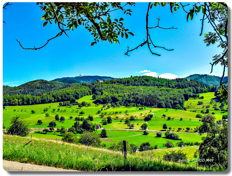 Südl. Schwarzwald